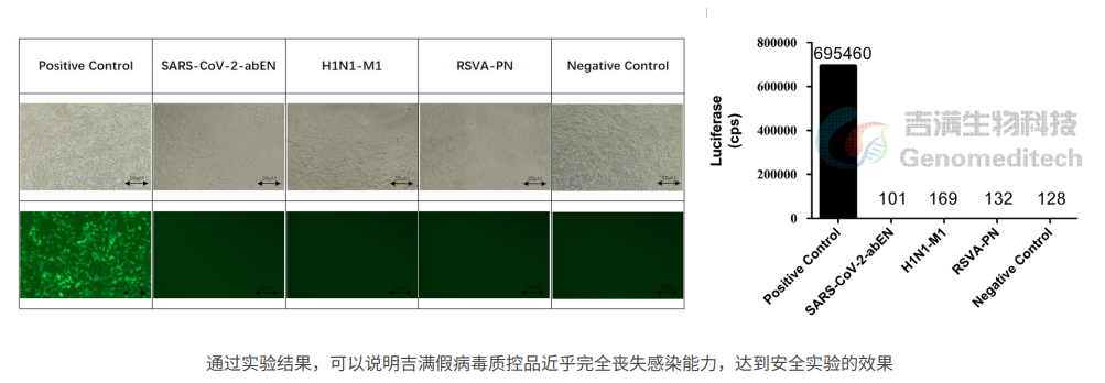 冠狀病毒2.png